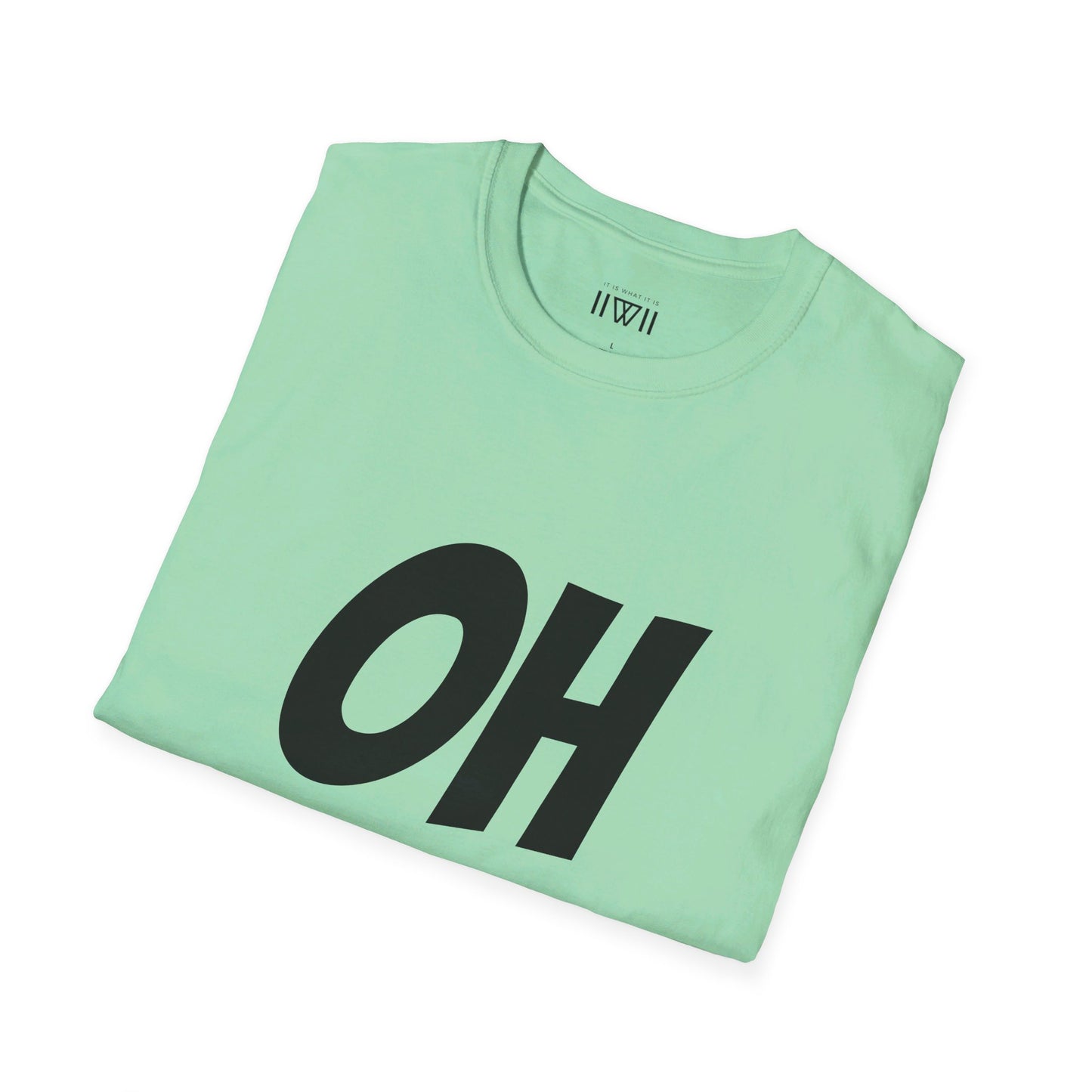 OH HEY! FUCK YOU TOO! T-Shirt