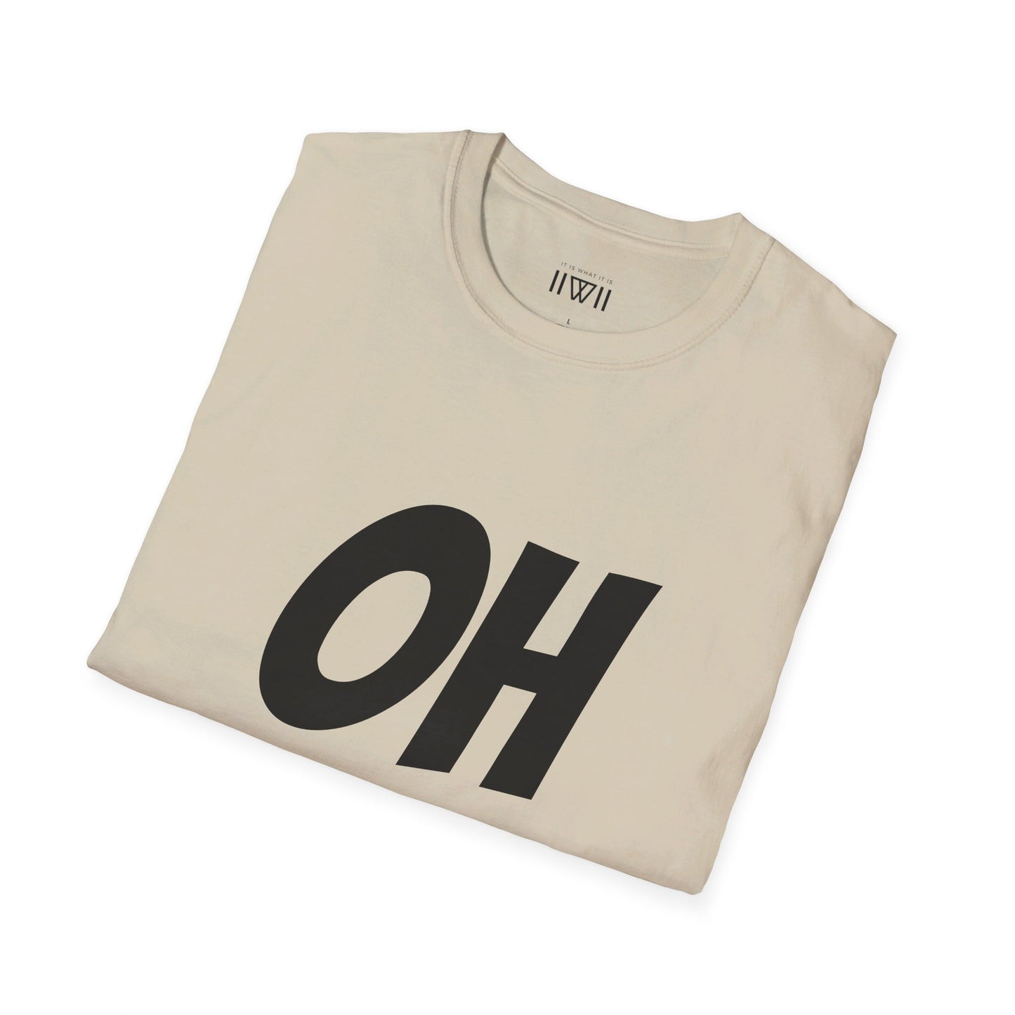 OH HEY! FUCK YOU TOO! T-Shirt