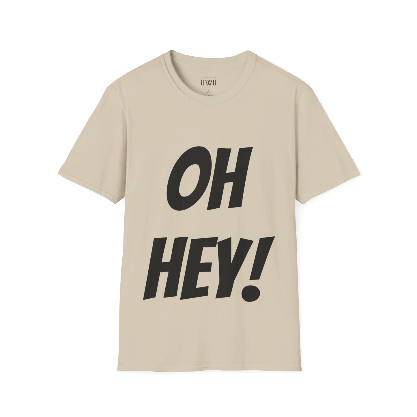 OH HEY! FUCK YOU TOO! T-Shirt