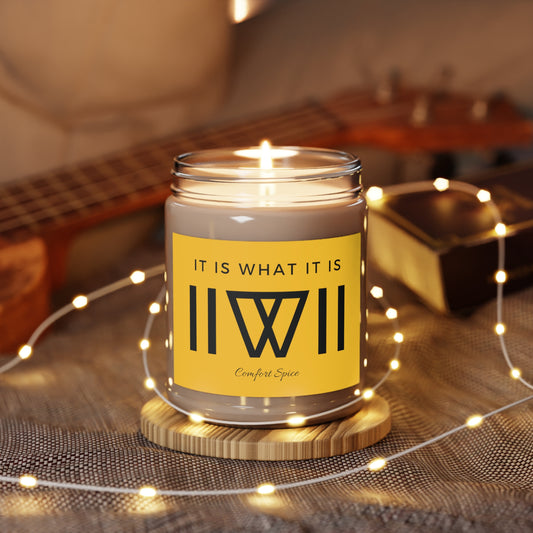 Delicious and fragrant IIWII Scented Candles, 9oz