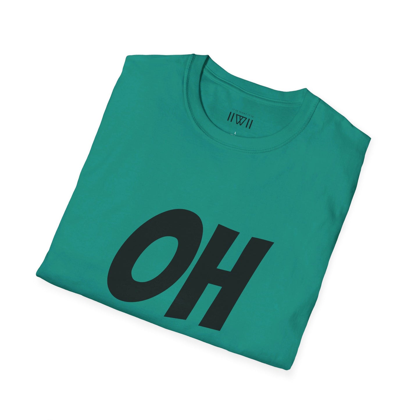 OH HEY! FUCK YOU TOO! T-Shirt