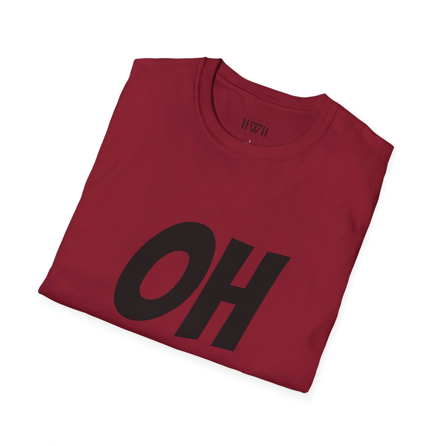 OH HEY! FUCK YOU TOO! T-Shirt